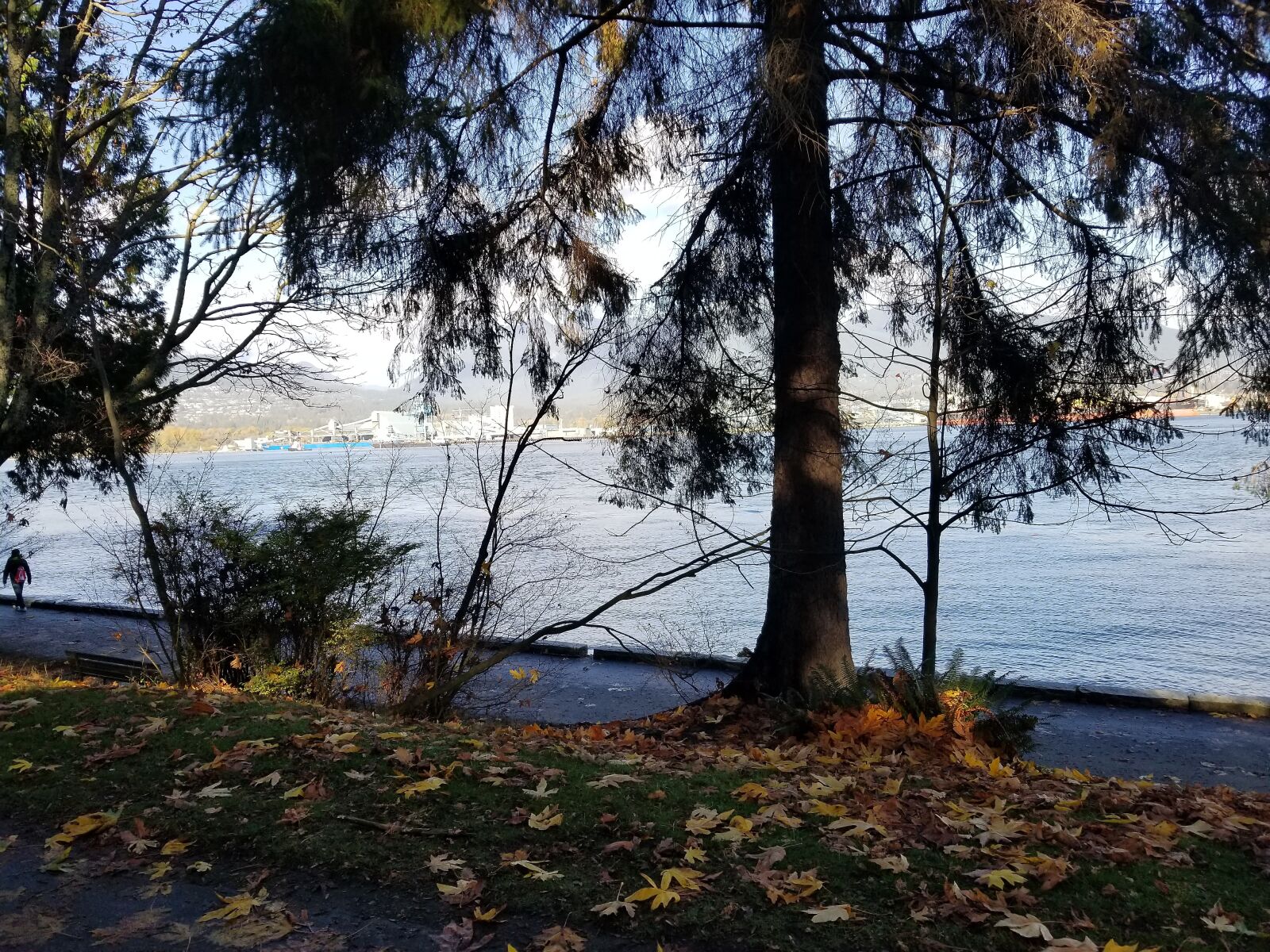 Samsung Galaxy S8 sample photo. Autumn, trees, lake photography