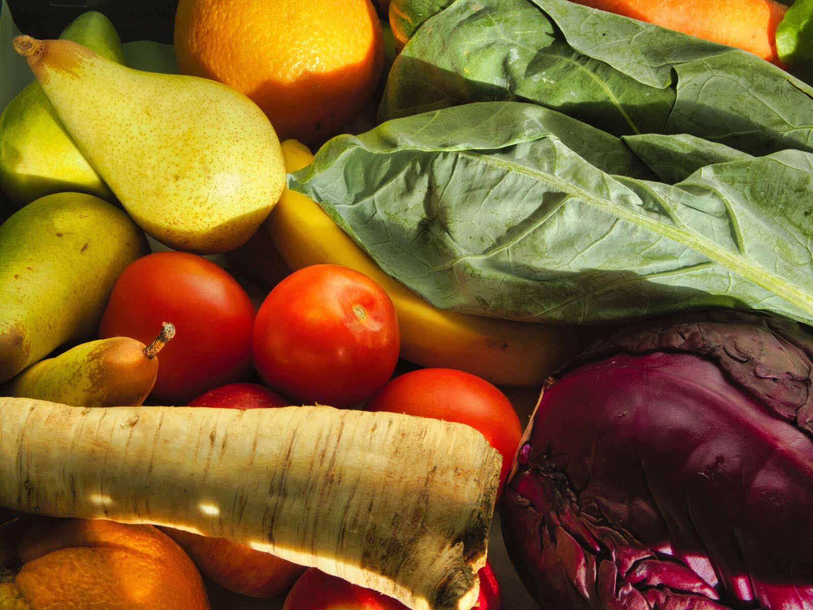 Olympus OM-D E-M10 III sample photo. Vegetables, bio, nutrition photography