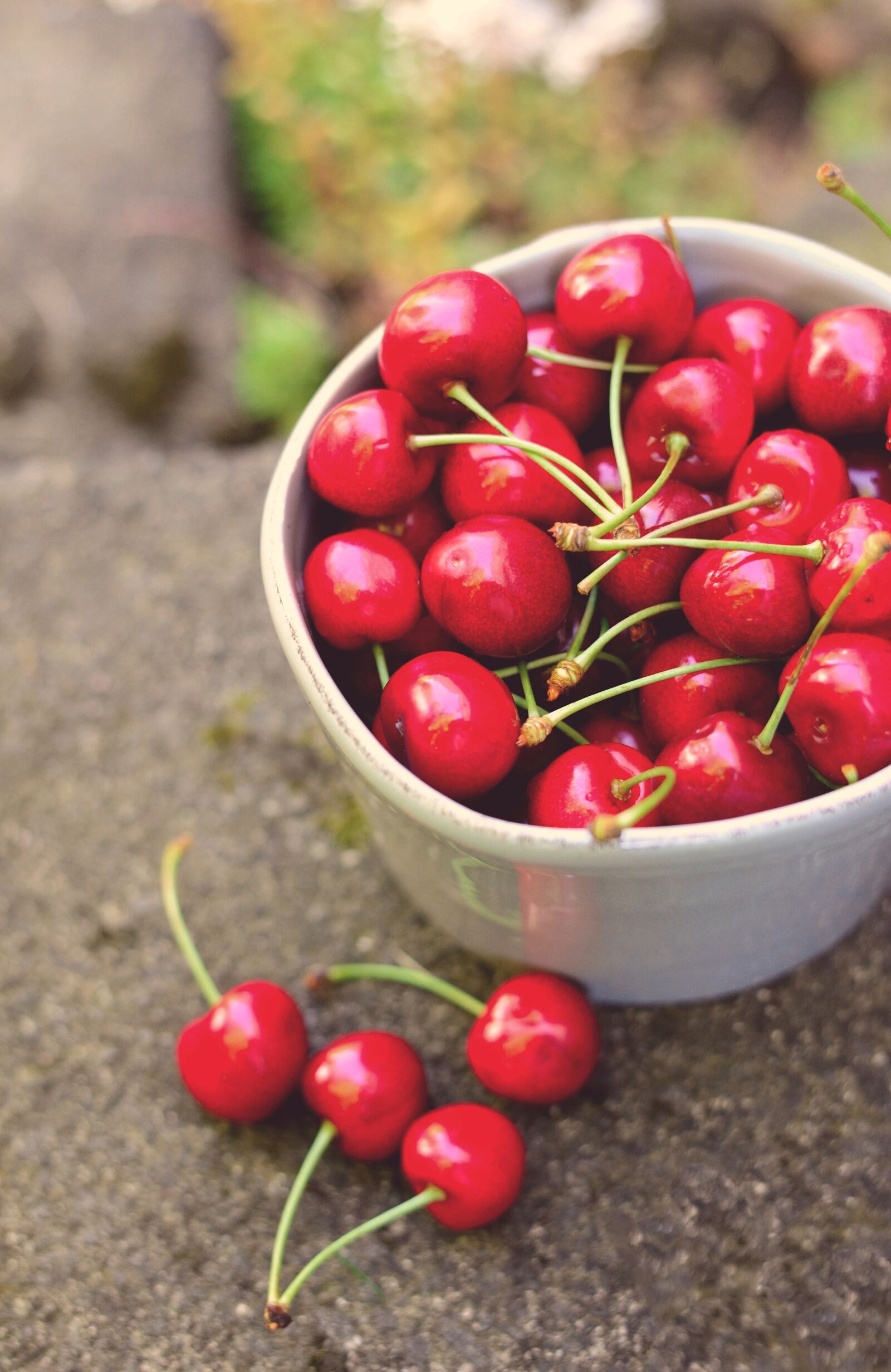 Nikon D610 sample photo. Cherries, fruit, fruits photography