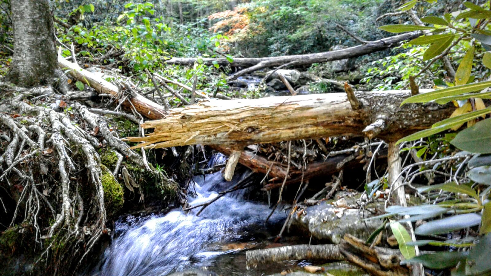 Samsung Galaxy J3(2016) sample photo. Edited, nature, river photography
