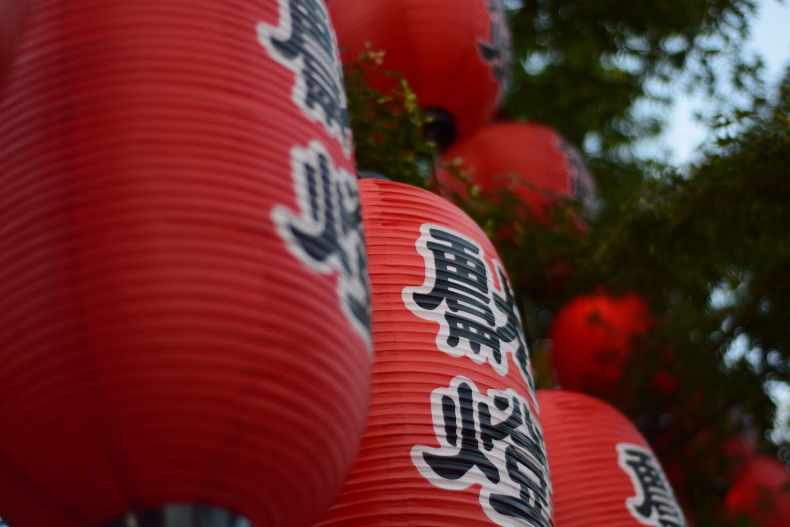 Nikon D3300 sample photo. Festival, red, traditional photography