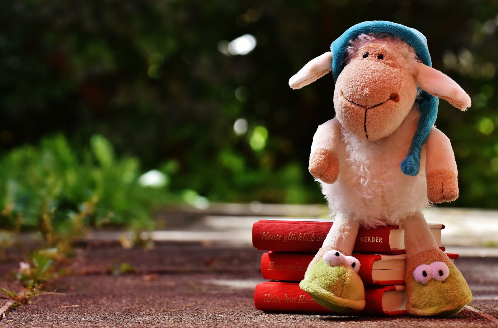 Nikon D7200 sample photo. Sheep, sleepyhead, plush photography