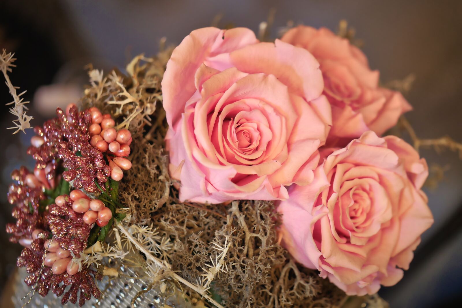Panasonic Lumix DMC-GX8 sample photo. Flower, rose, floral photography