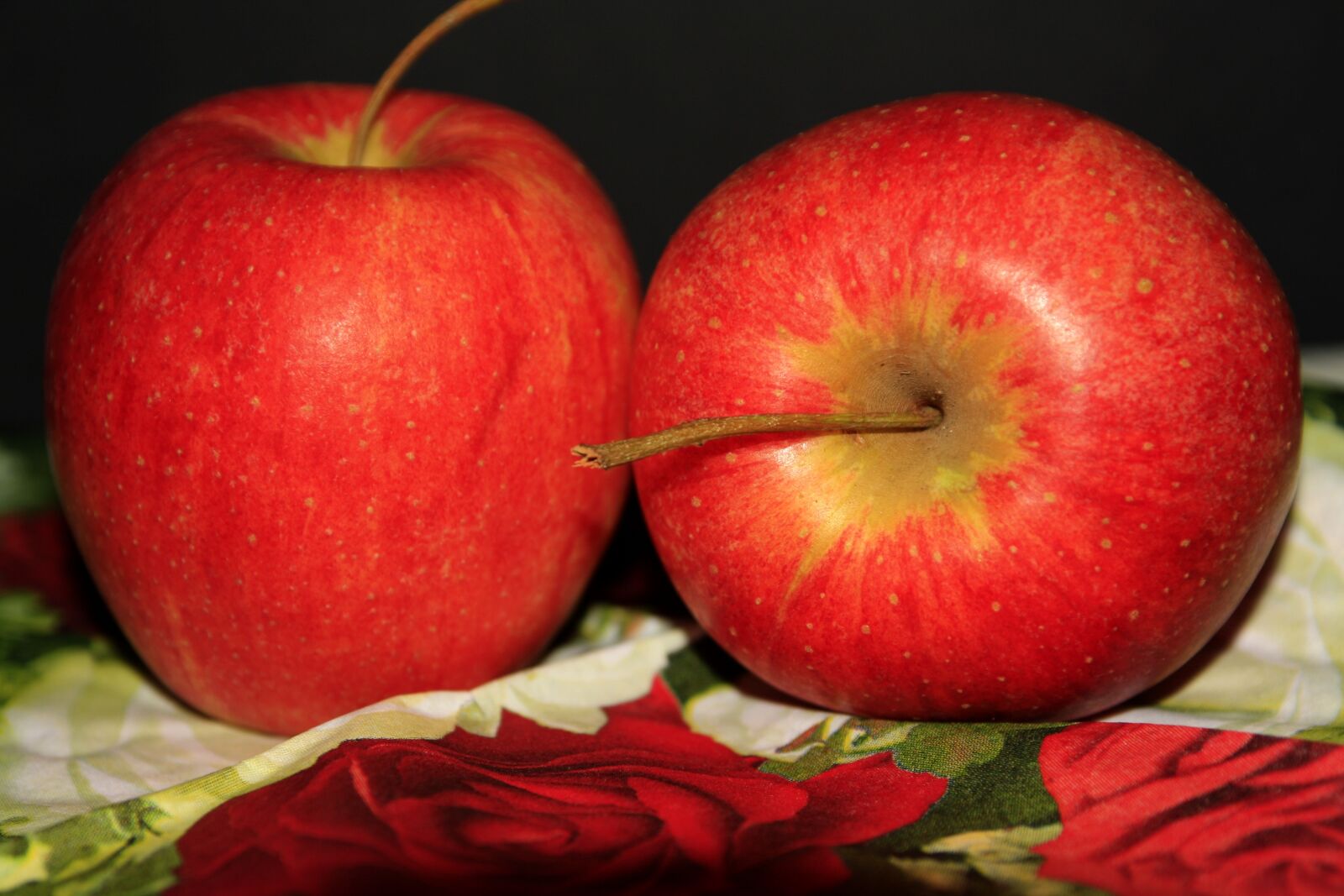 Canon EOS 1000D (EOS Digital Rebel XS / EOS Kiss F) sample photo. Apple, fruit, red photography