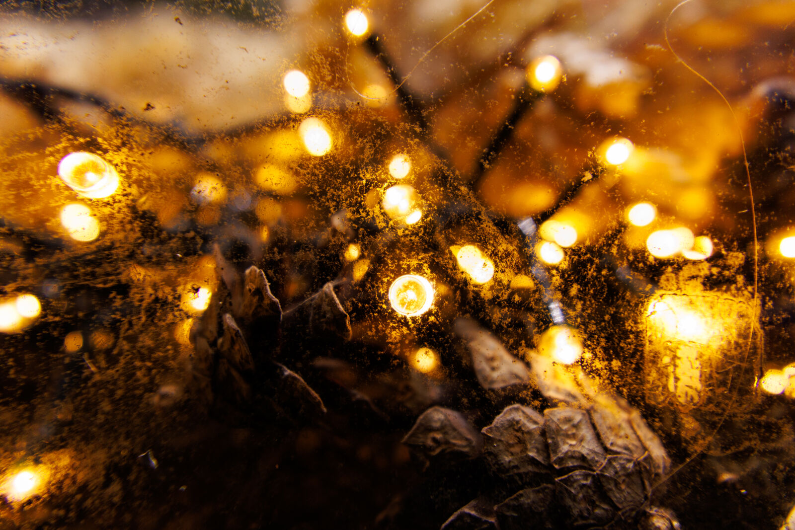 Canon EOS R7 sample photo. Christmas lights photography
