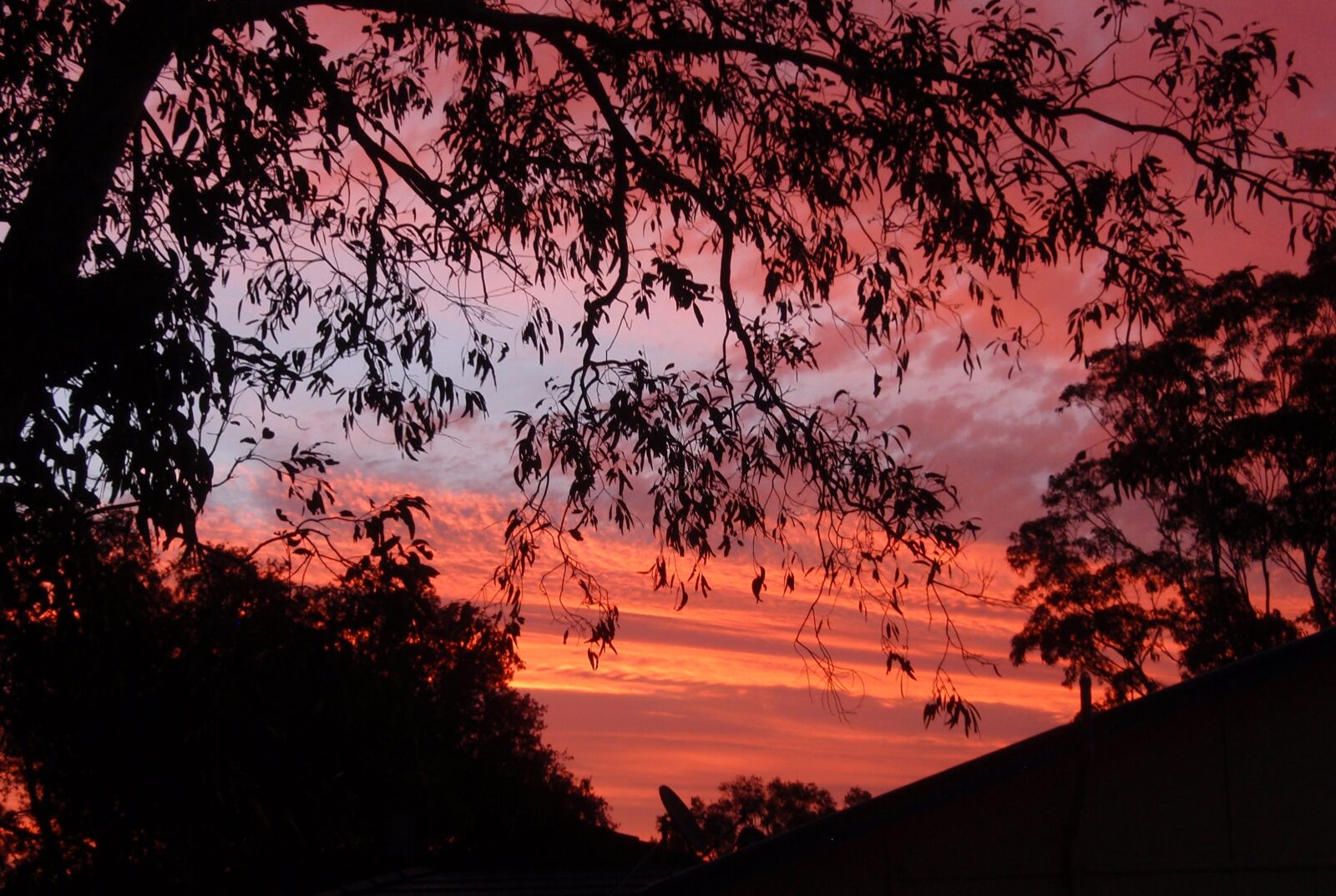 Olympus u840,S840 sample photo. Sunset, trees, red photography