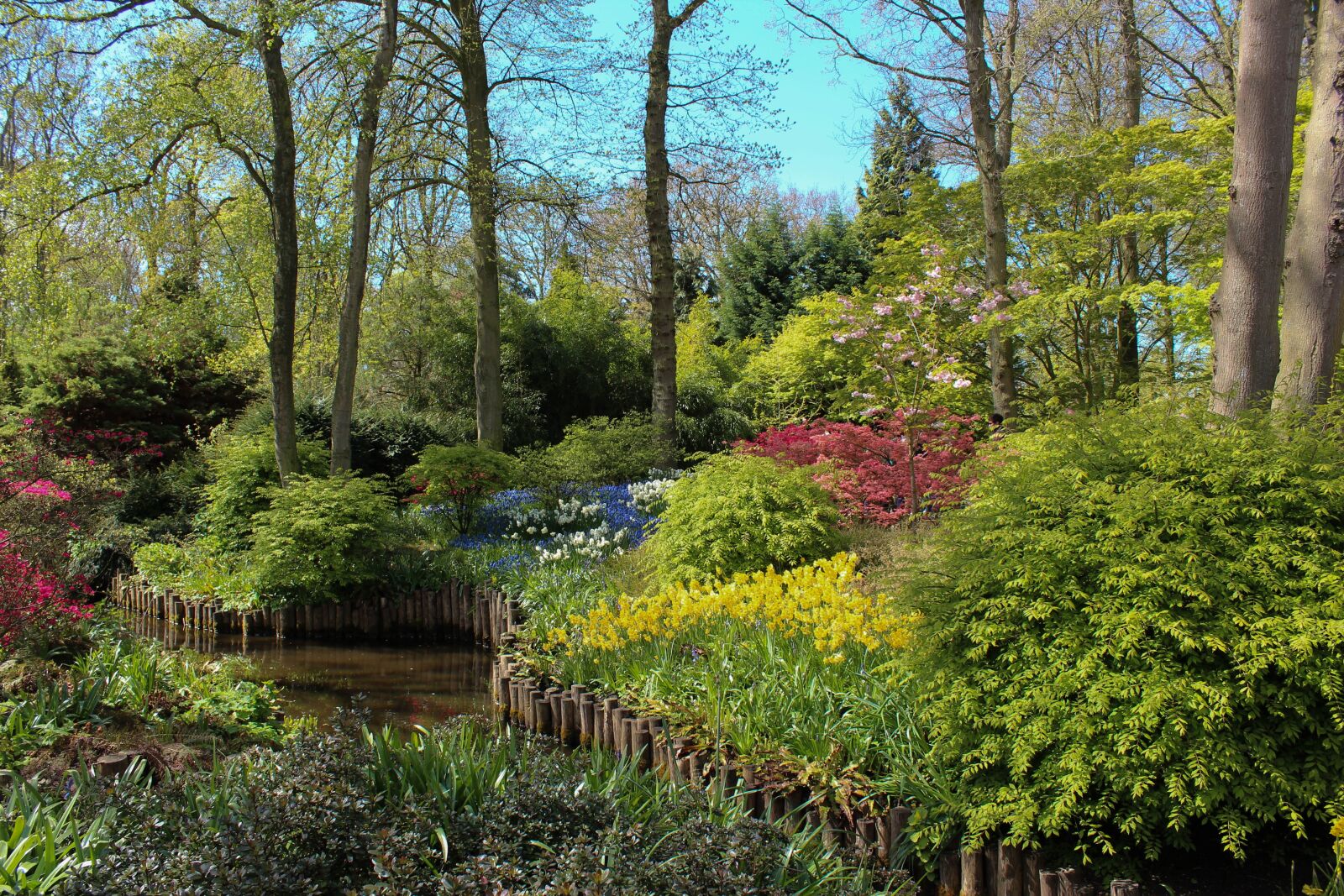 Canon EOS 600D (Rebel EOS T3i / EOS Kiss X5) sample photo. Park, landscape, keukenhof photography