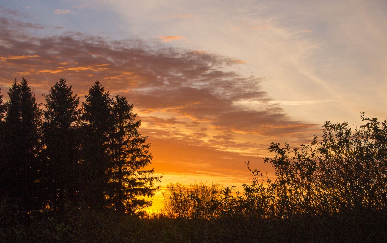 Canon EOS 550D (EOS Rebel T2i / EOS Kiss X4) sample photo. Morning sun, åmosen, sunrise photography