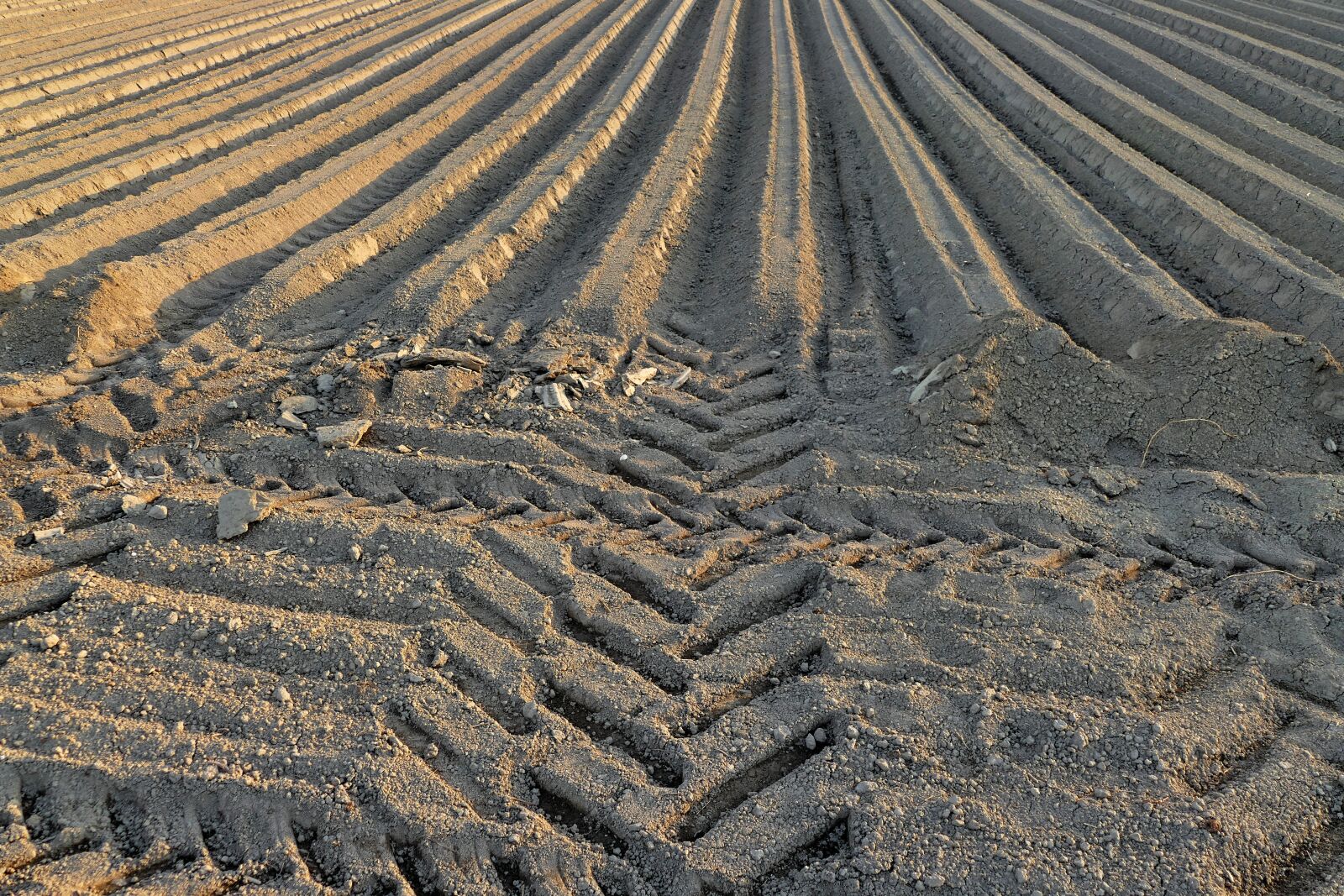 Panasonic Lumix DMC-FZ1000 sample photo. Ground, treatment, field photography