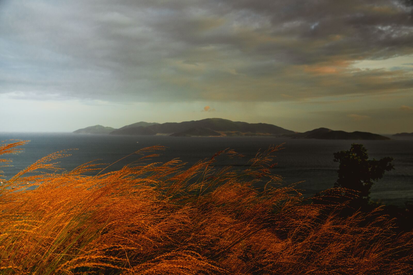 Sony Vario-Tessar T* E 16-70mm F4 ZA OSS sample photo. Sea, red grass, island photography