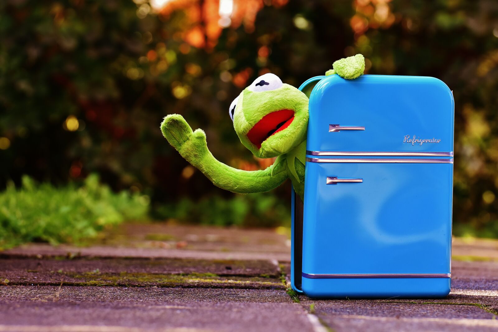 Nikon D7200 sample photo. Kermit, frog, refrigerator photography