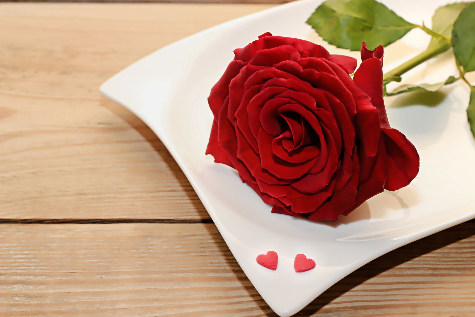 Canon EOS 600D (Rebel EOS T3i / EOS Kiss X5) sample photo. Rose, red, plate photography