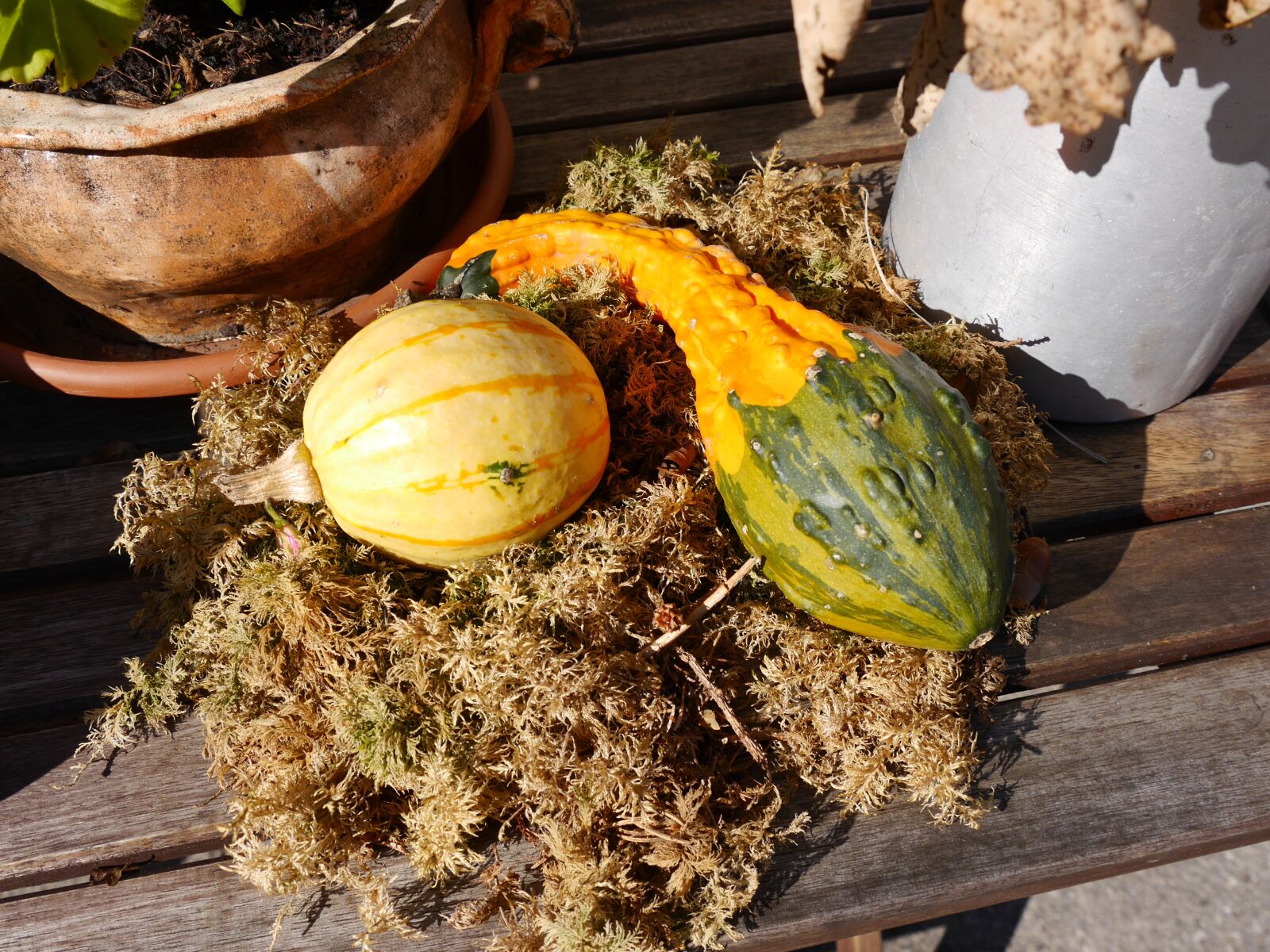Panasonic Lumix DMC-G6 sample photo. Autumn, pumpkin, autumn decoration photography