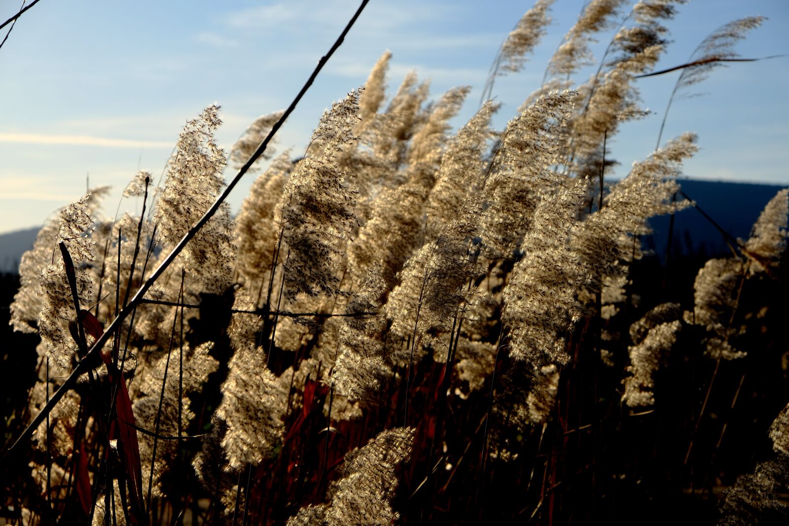 Fujifilm X-T2 sample photo. Landscape, nature, environment photography
