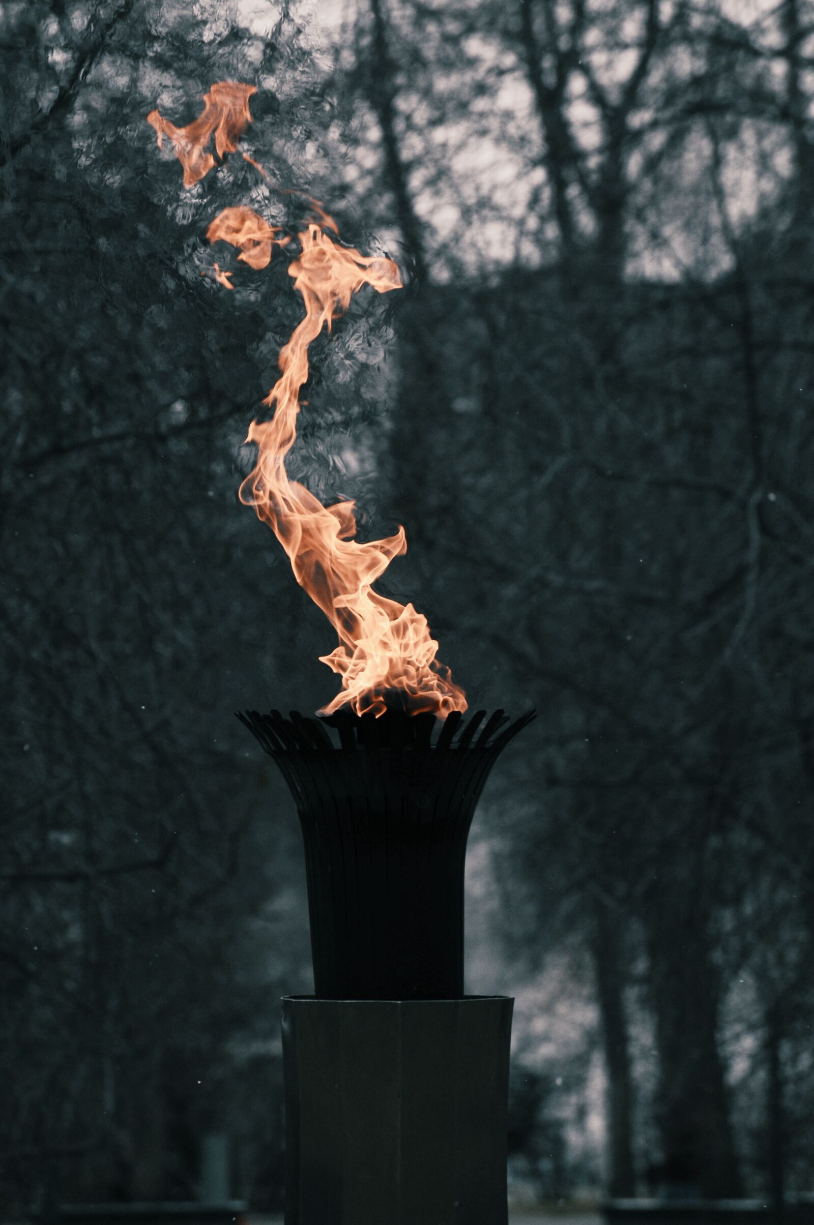 Nikon D300 sample photo. Fire, hot, heat photography
