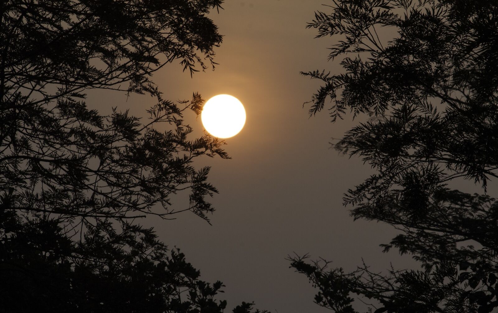 Canon EF-S 55-250mm F4-5.6 IS sample photo. Sunset, nature, silhouette photography