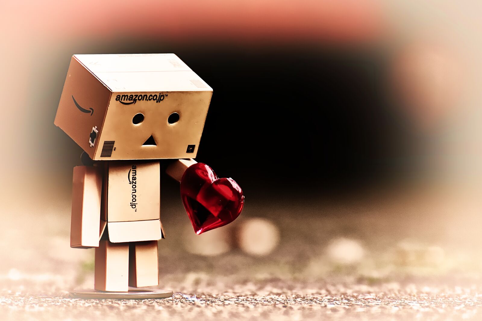 Nikon D7200 sample photo. Danbo, figure, love photography