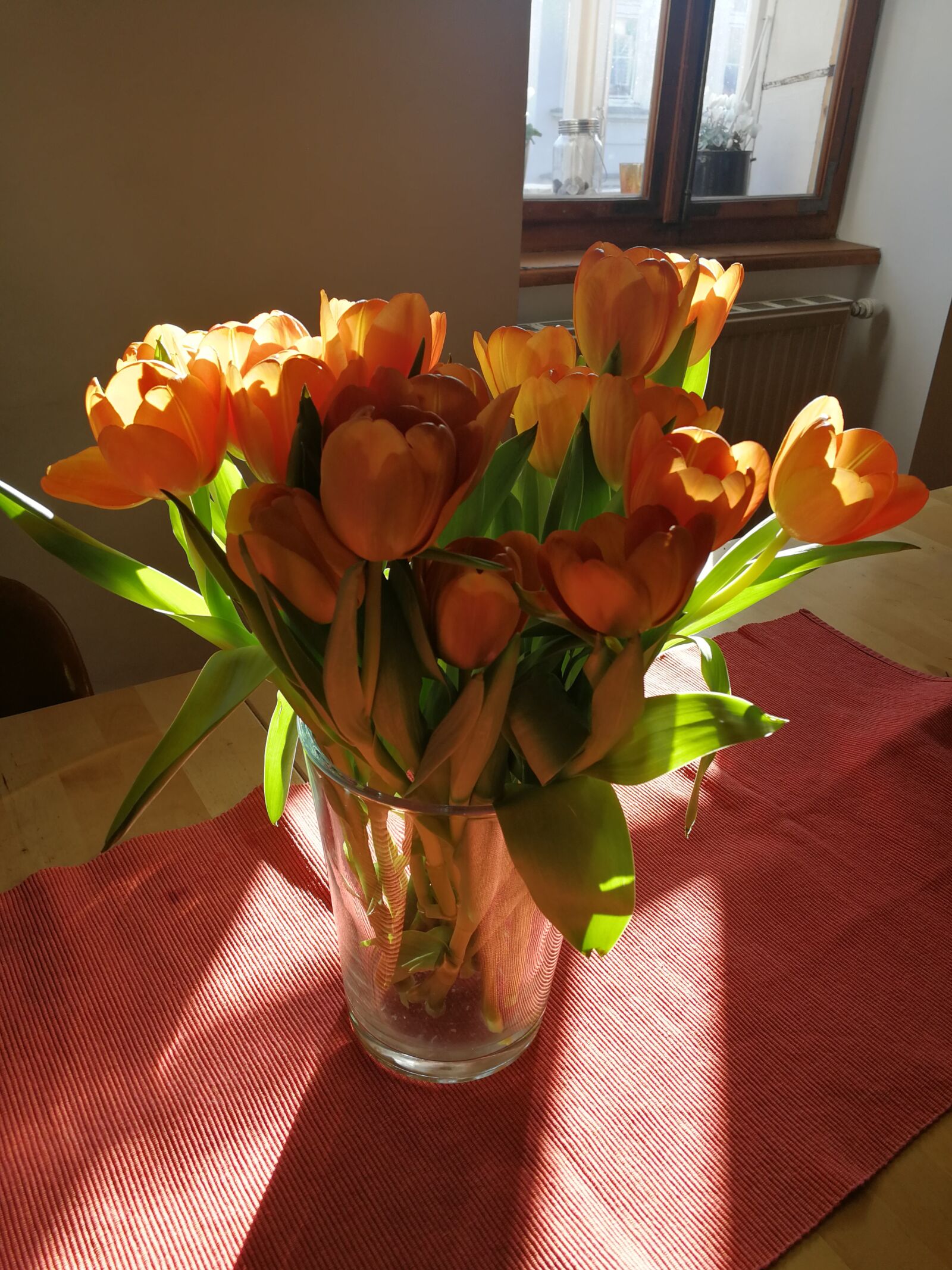HUAWEI P10 sample photo. Tulips, sunbeam, flowers photography