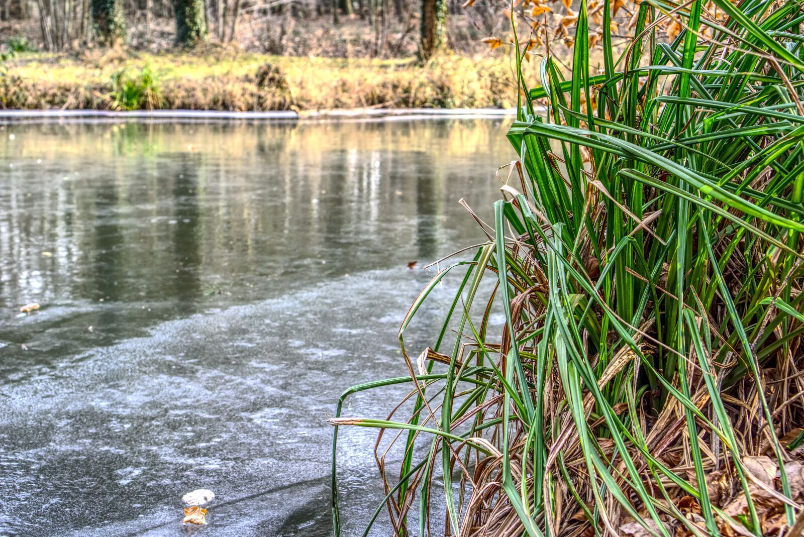 Sony a6000 + Sony E 35mm F1.8 OSS sample photo. Waters, nature, river photography