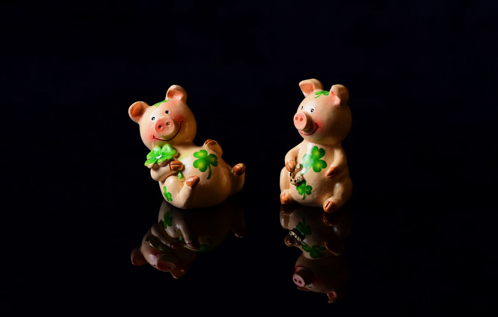 Nikon D7200 sample photo. Lucky pig, luck, lucky photography