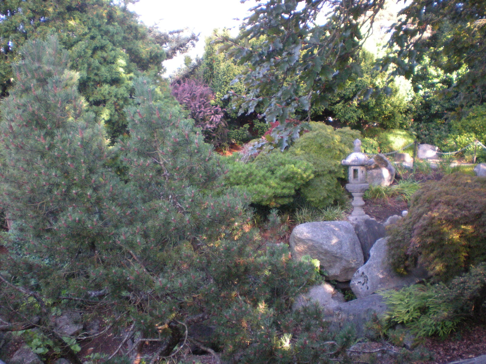 Nikon Coolpix S210 sample photo