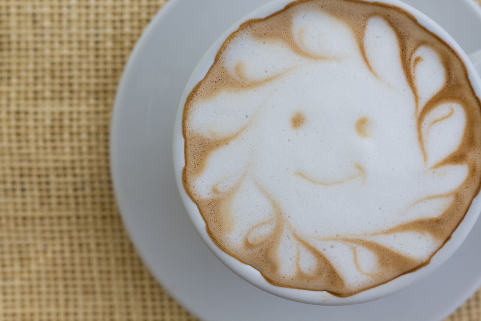 Canon EOS 700D (EOS Rebel T5i / EOS Kiss X7i) + Canon EF 50mm F1.8 STM sample photo. Cappuccino, beverage, in the photography