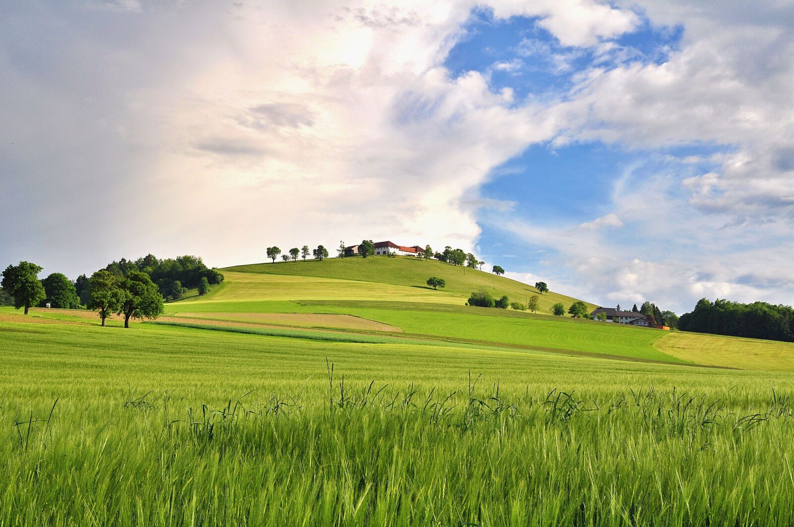 Nikon D90 sample photo. Nature, landscape, reported photography