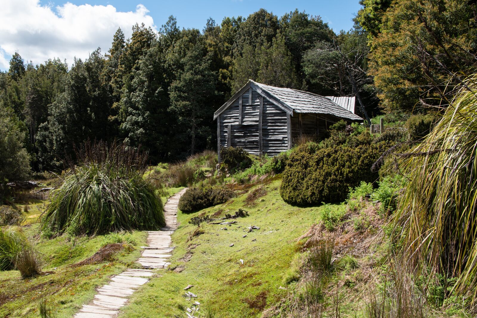 Nikon D750 sample photo. Overland track, tasmania, landscape photography