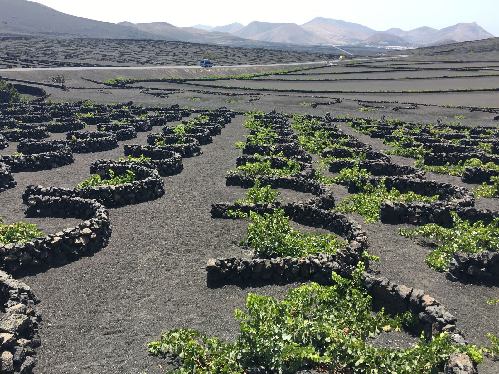 Apple iPhone 6s sample photo. La geria, lanzarote, landscape photography