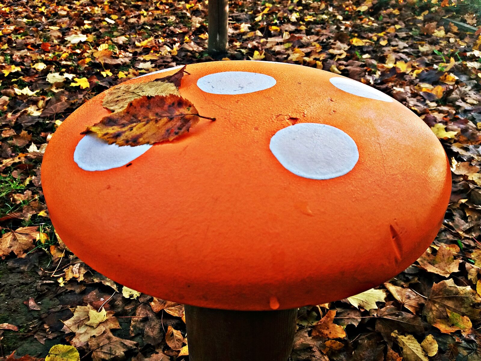 Samsung Galaxy J5 sample photo. Amanita, autumn, mushroom photography