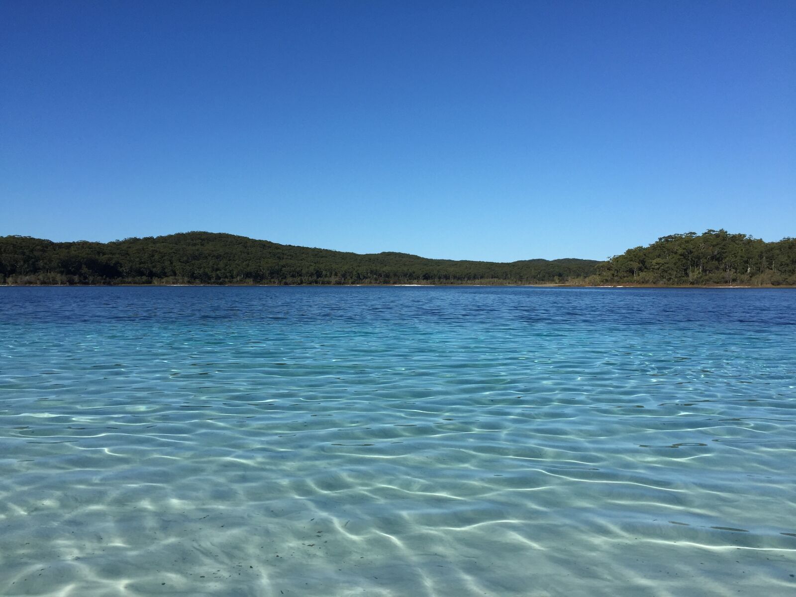 iPhone 6 Plus back camera 4.15mm f/2.2 sample photo. Fraser island, australia, water photography