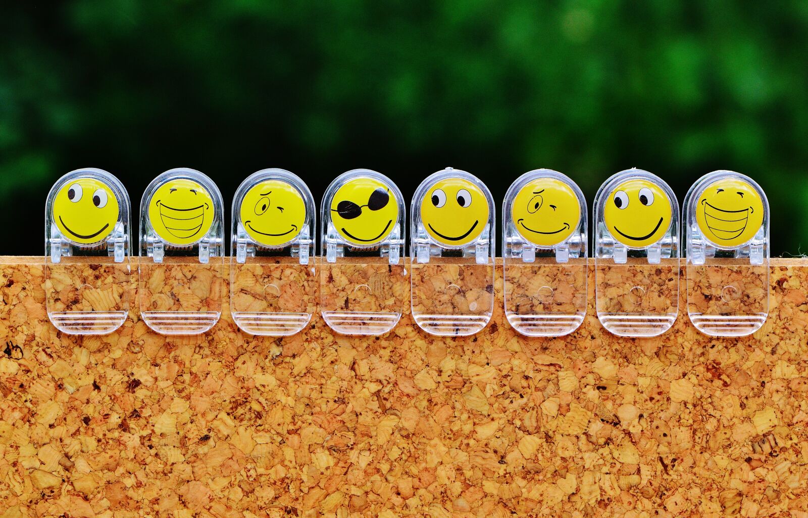 Nikon D3200 sample photo. Smilies, funny, emoticon photography