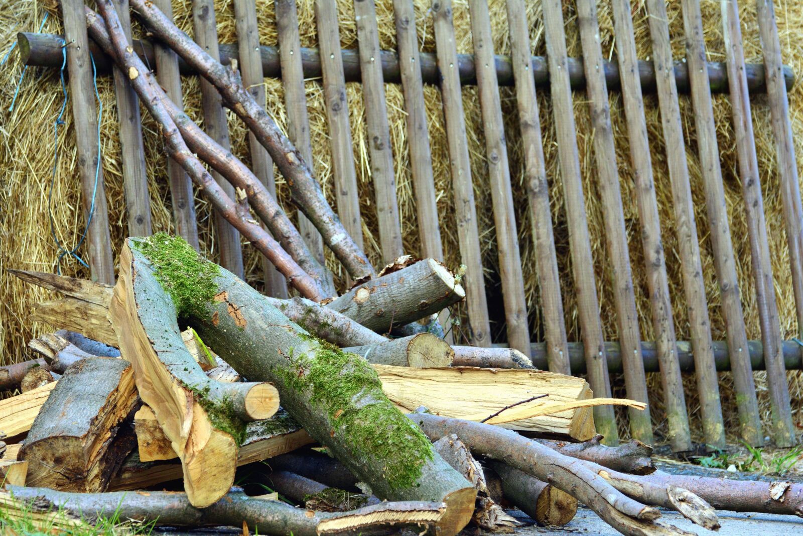 Nikon D5200 sample photo. Hay, fence, wood, logs photography