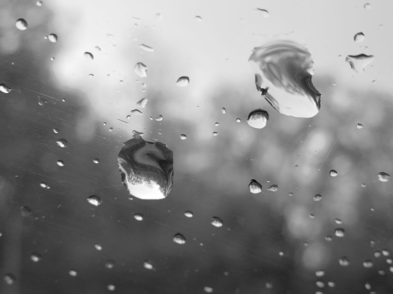 Canon PowerShot SX610 HS sample photo. Rain, water, glass photography