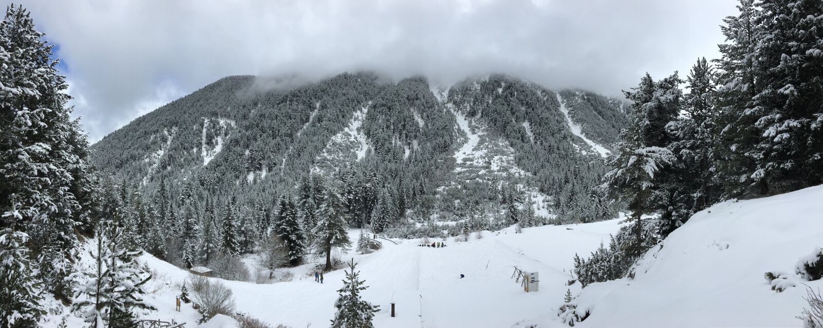 Apple iPhone 6s sample photo. Bansko, pirin, forest photography
