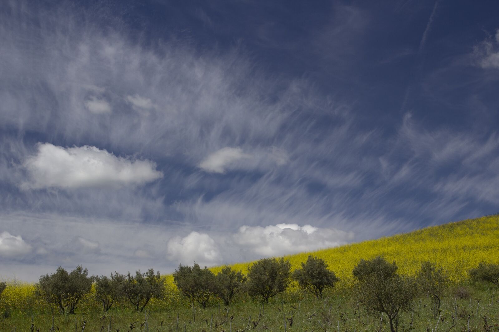 Canon EOS 600D (Rebel EOS T3i / EOS Kiss X5) sample photo. Sky, clouds, landscape photography
