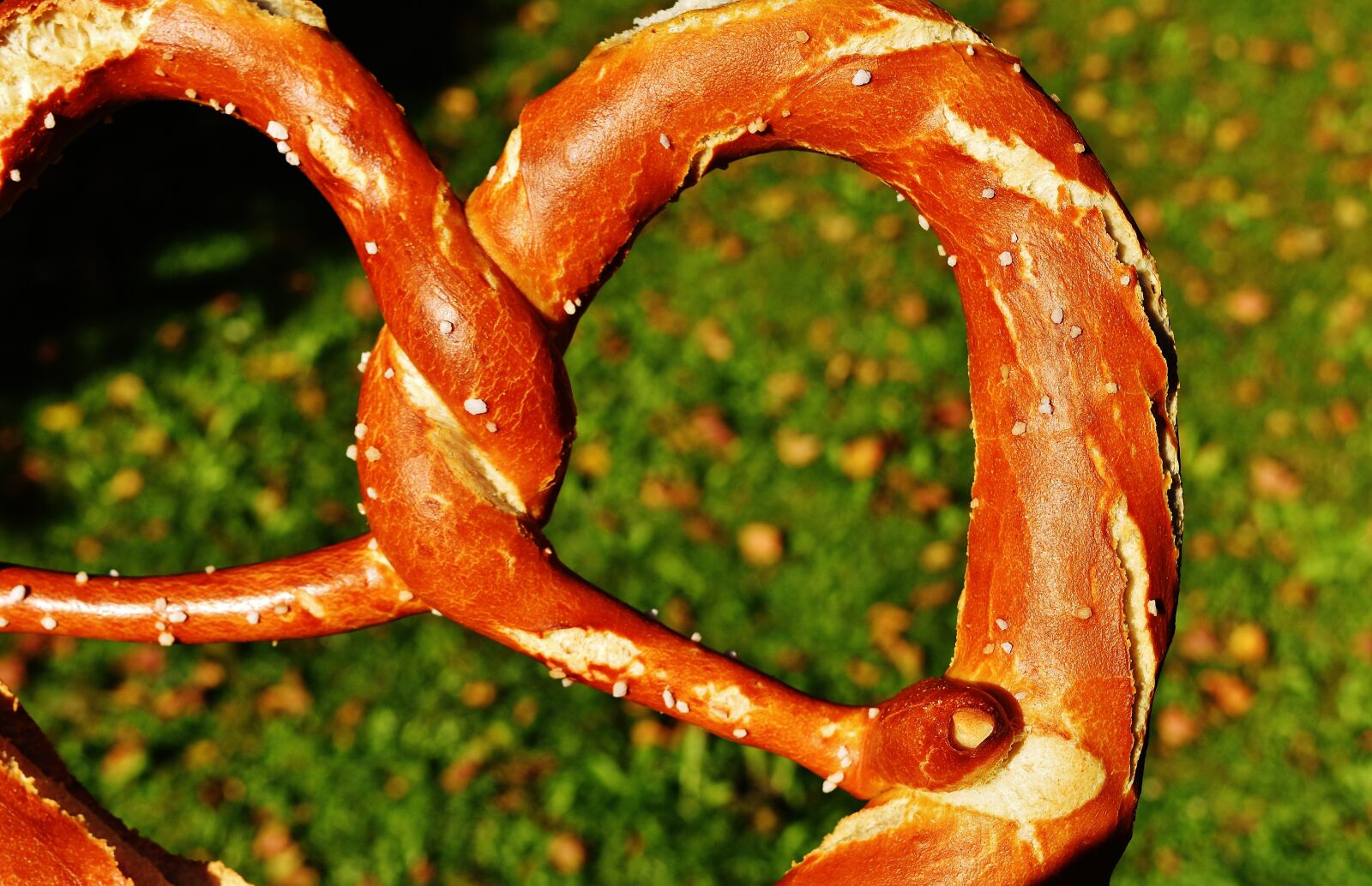 Nikon D7200 sample photo. Wiesnbreze, breze, pretzel photography