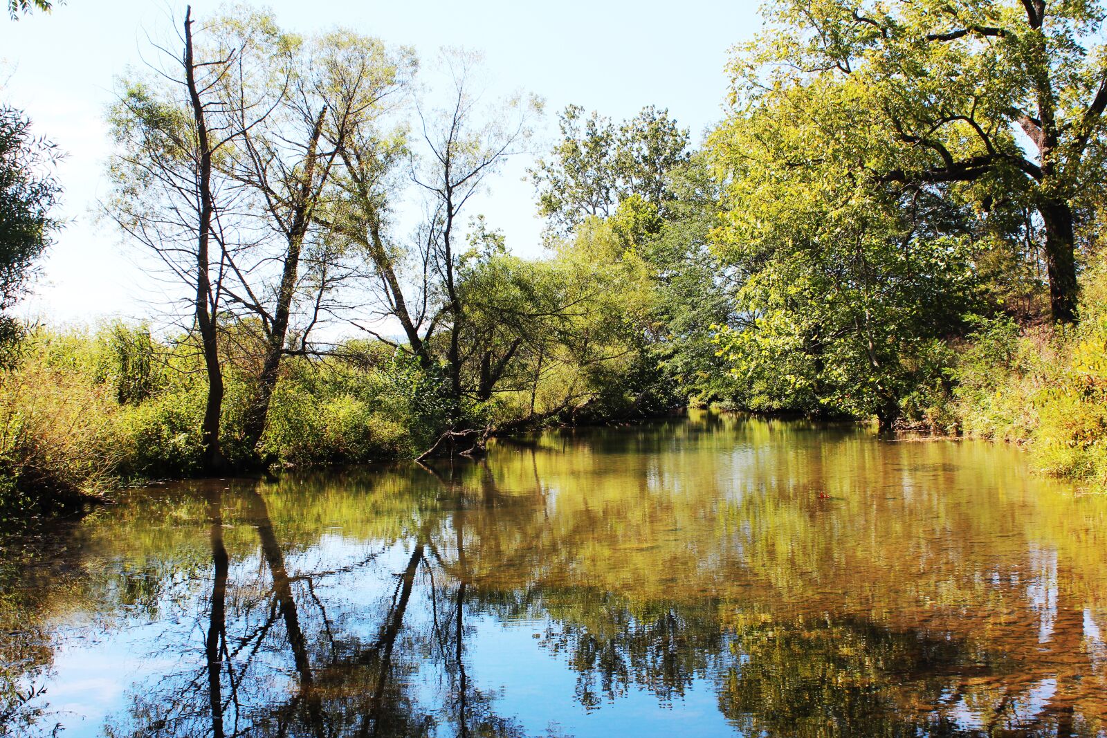 Canon EOS 600D (Rebel EOS T3i / EOS Kiss X5) sample photo. Shenandoah valley, virginia, hogue photography