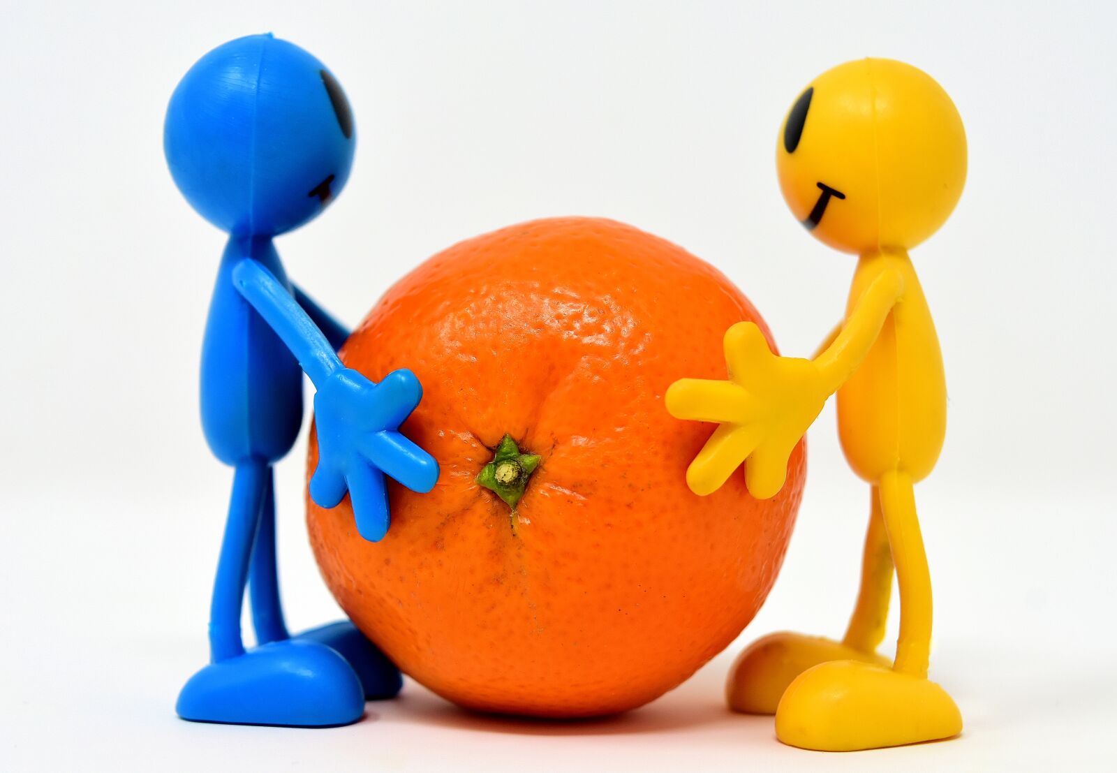 Nikon D7200 sample photo. Friends, mandarin, fruit photography