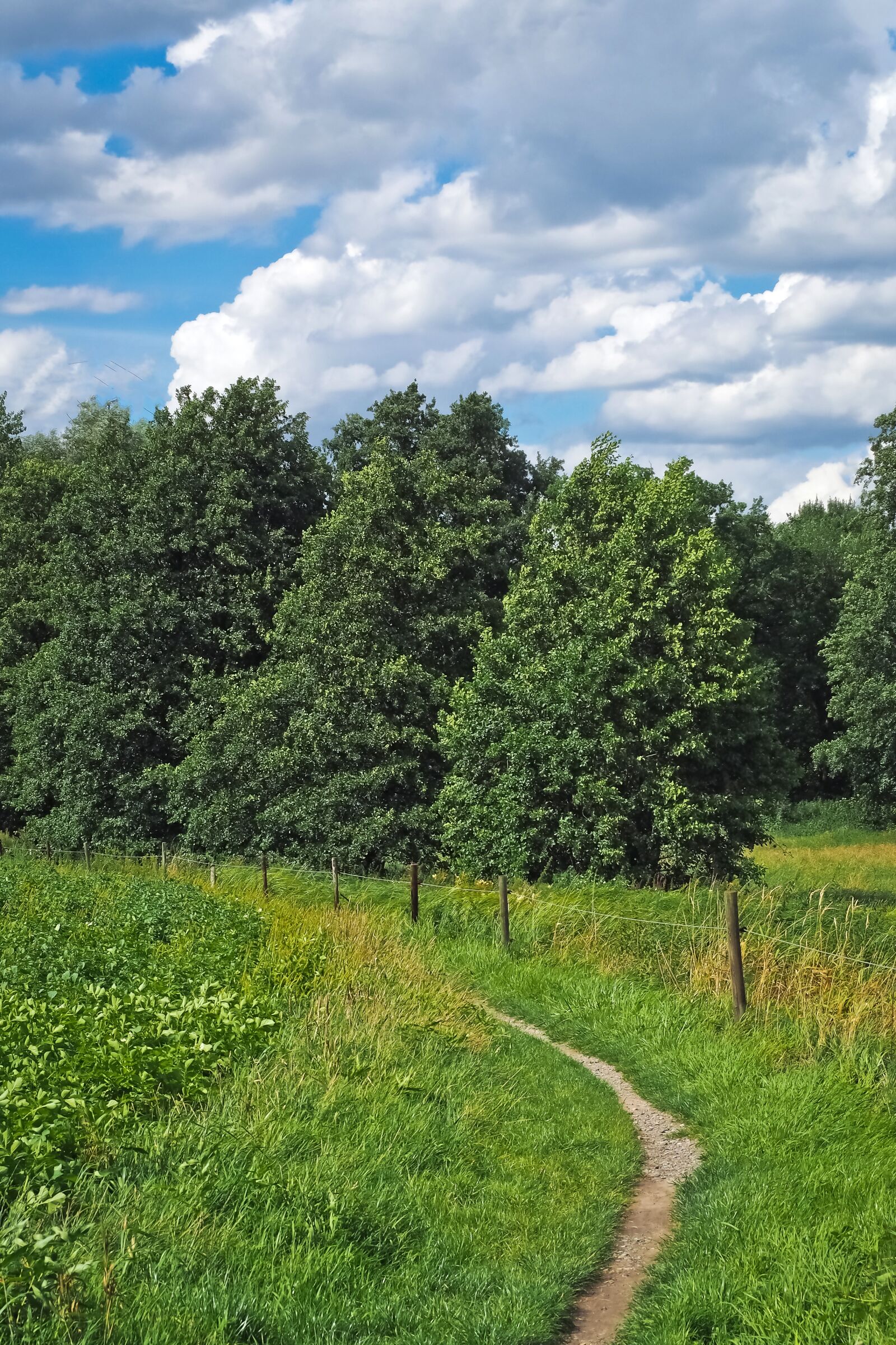 Olympus OM-D E-M10 sample photo. Landscape, field, nature photography
