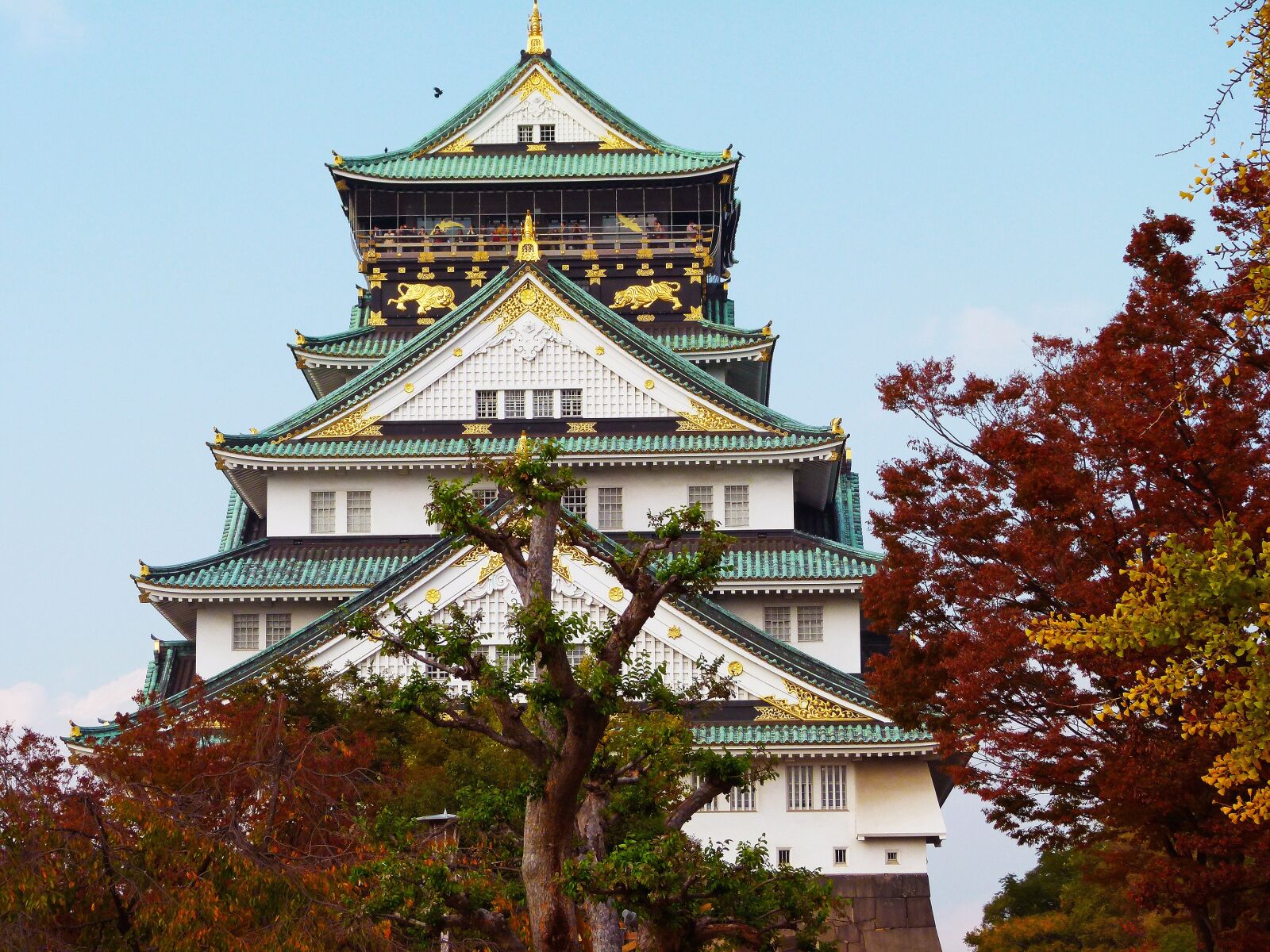 Panasonic Lumix DMC-FZ100 sample photo. Castle, autumn, architecture photography