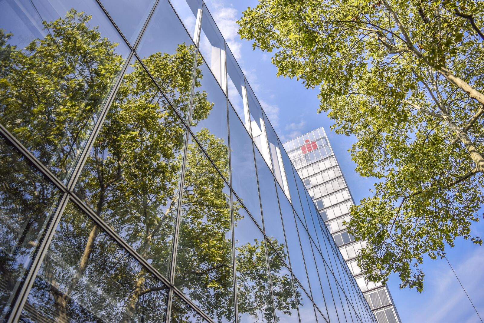 Nikon D3300 sample photo. Architecture, mirroring, building photography