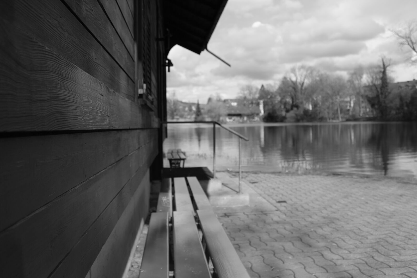 Canon EOS 1300D (EOS Rebel T6 / EOS Kiss X80) sample photo. Black and white, nature photography