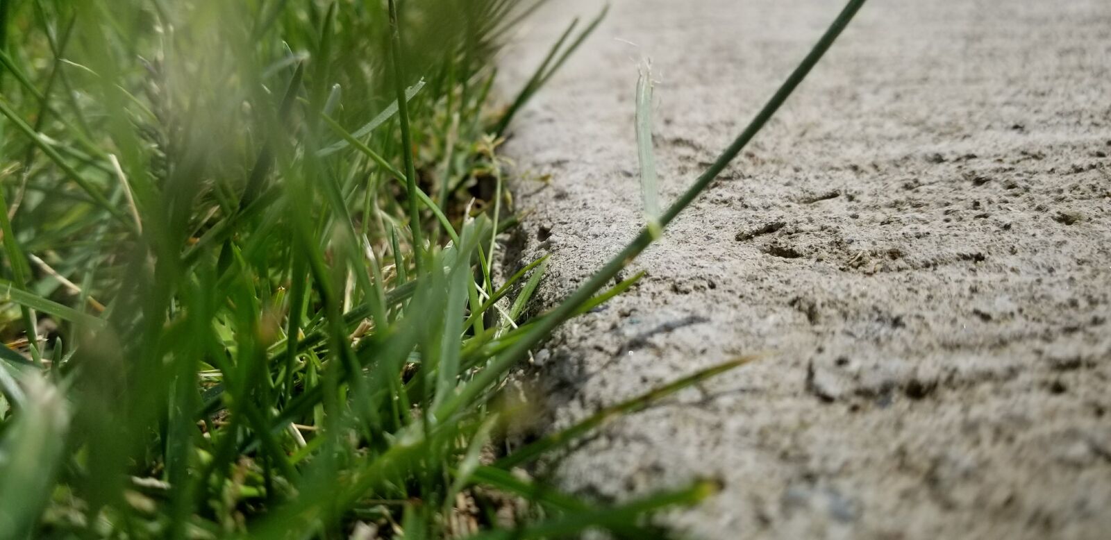 Samsung Galaxy S8 sample photo