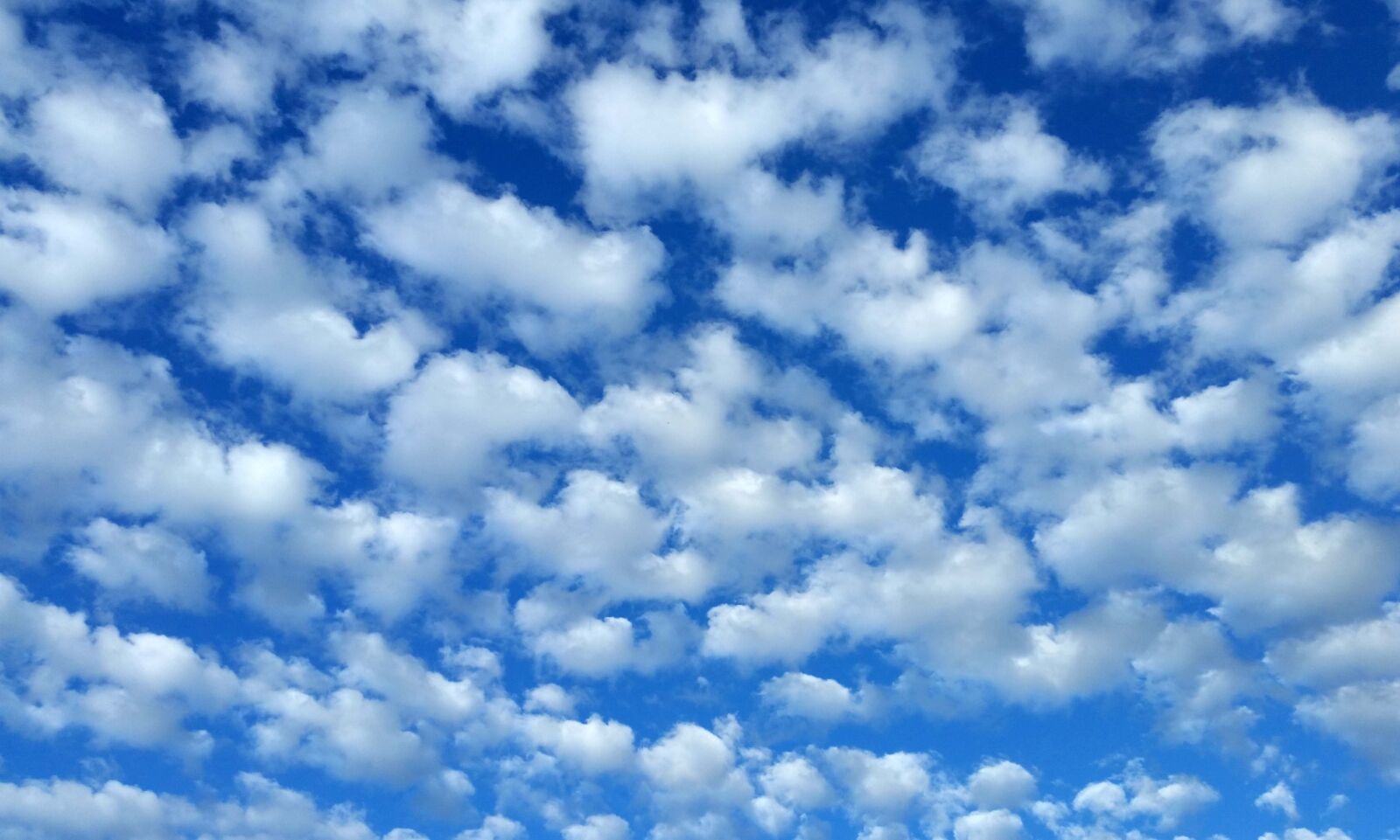 Samsung Galaxy S5 sample photo. Clouds, fleecy, sky photography