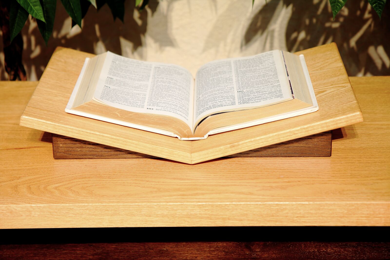 Canon EOS 70D sample photo. Wood, wooden, education photography