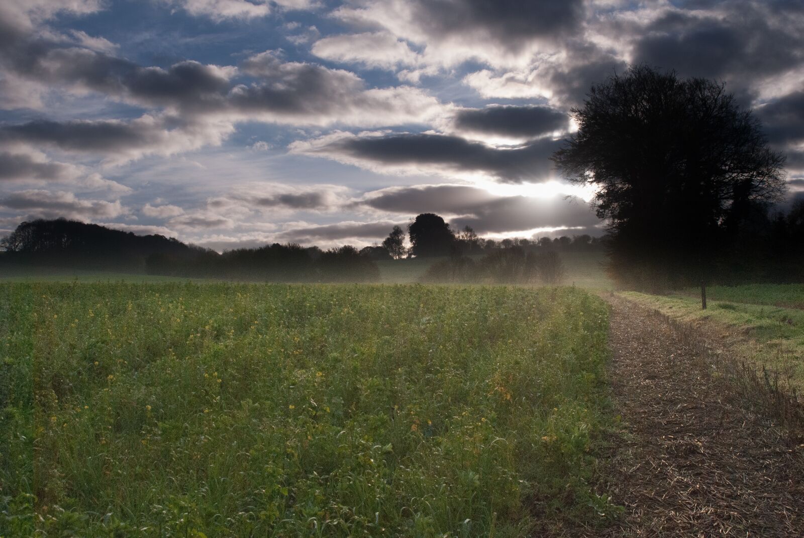 Nikon D80 sample photo. Nature, fall, landscape photography
