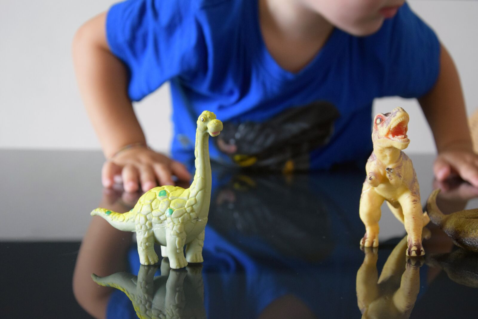 Nikon D3300 sample photo. Dinosaur, mockup, background photography