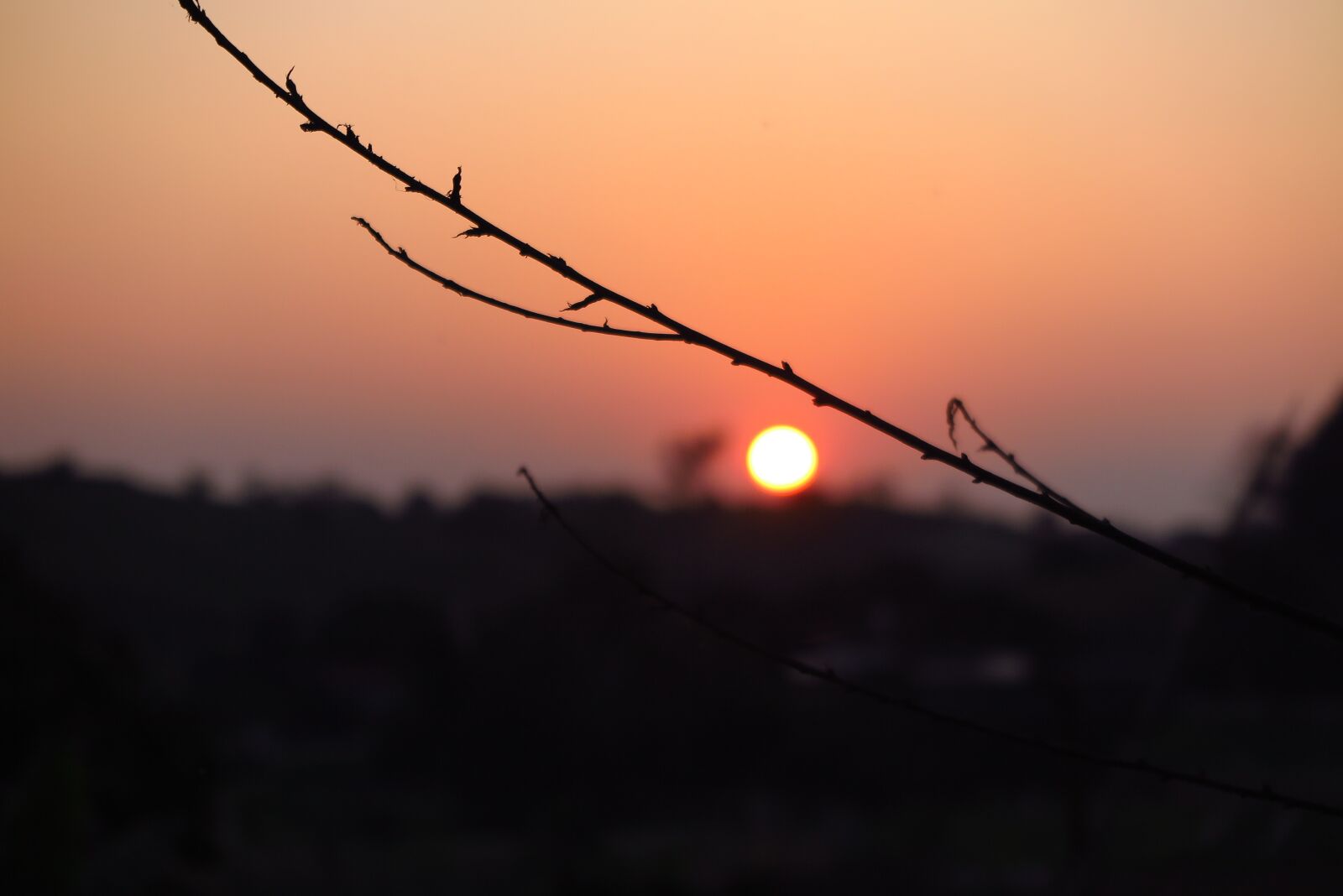 Canon PowerShot G1 X Mark II sample photo. Sunset, sun, before sunset photography