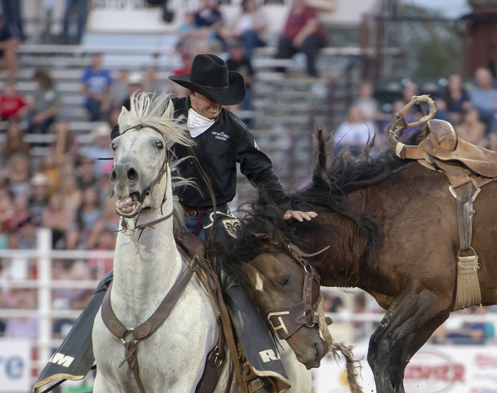 Nikon D850 sample photo. Rodeo, horse, cowboy photography